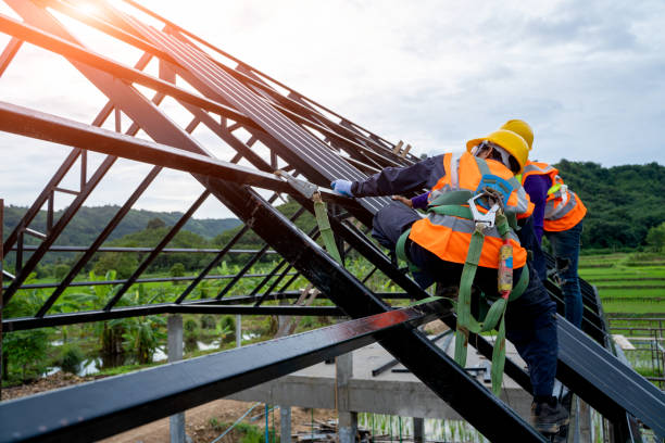Best Storm Damage Roof Repair  in Decatur, MI