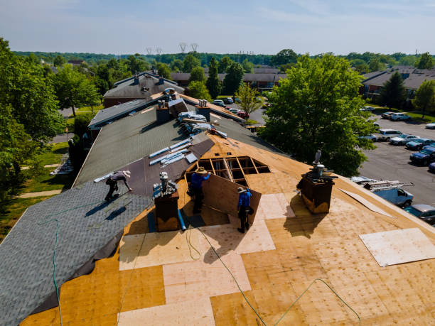 Best Flat Roof Repair Services  in Decatur, MI