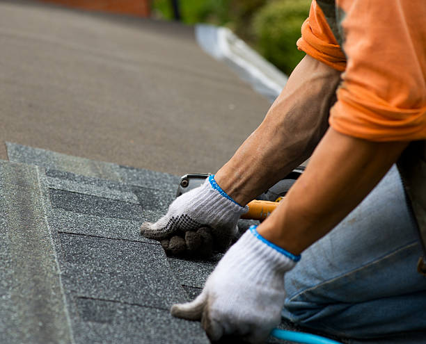 Best Roof Leak Repair  in Decatur, MI