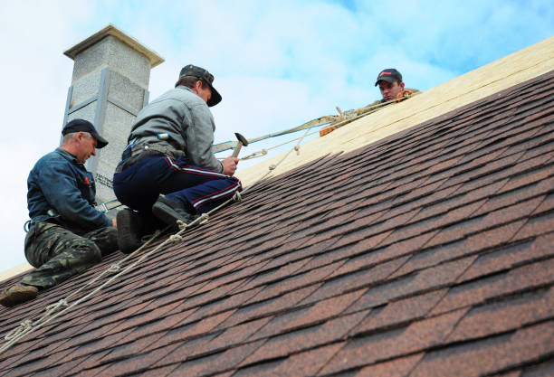 Best Heating Cable for Roof Installation  in Decatur, MI