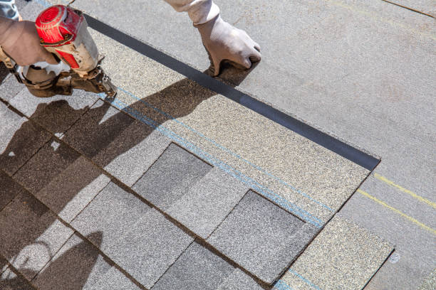 Best Roof Repair Services  in Decatur, MI