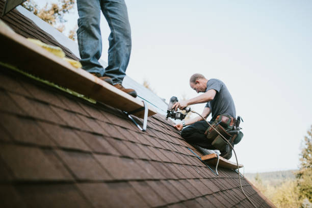 Best Best Roofing Contractors  in Decatur, MI