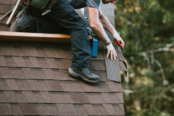 Best Residential Roof Replacement  in Decatur, MI